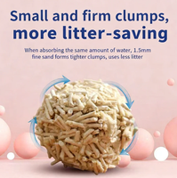 Litière pour chat biodégradable et jetable aux toilettes, 6L, en vrac, naturelle, à absorption rapide, agglomérante, écologique, pour animaleries, vente en gros