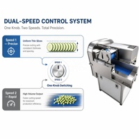 Potato Slicing Onion Shredding 220V Motor Dual Speed Control Stainless Steel Commercial Low Noise Fast Delivery Vegetable Cutter