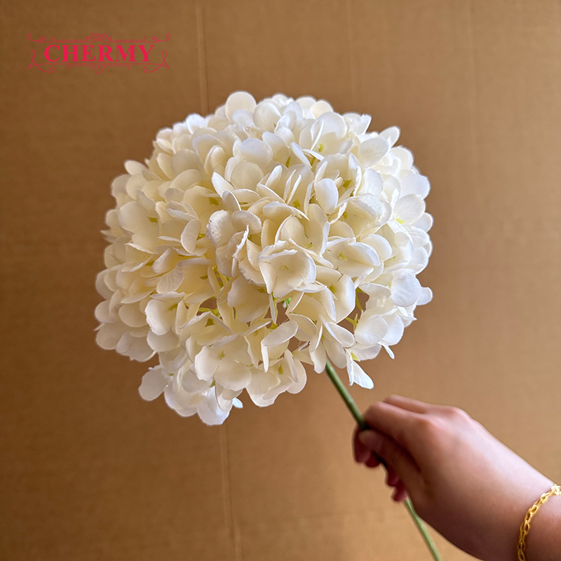 #2 champagne - Hortensias à grosse tête de 18 cm