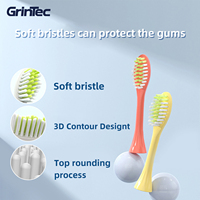 Brosse à dents électrique sonique mince bon marché pour adultes ensemble de brosse à dents de soins bucco-dentaires à piles