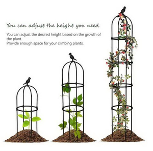 <span class=keywords><strong>Support</strong></span> de <span class=keywords><strong>plante</strong></span> multi-usages, cage à tomates, installation rapide et durable, mobilier de jardin à vendre - Product Image 3