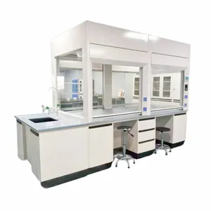 Customizable Multi-sided Benchtop Chemical Laboratory Fume Hood Extract Hood For Chemical Lab