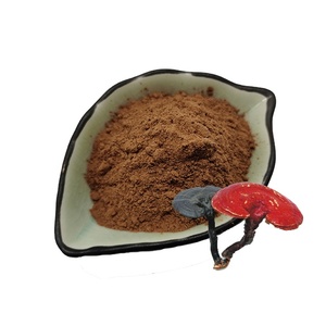 B.C.I供应100% 天然灵芝孢子粉灵芝提取物粉 - Product Image 1