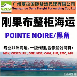 Guangzhou Serra Freight Forwarding Abidjan Shipping LCL Express Chine vers Côte d'Ivoire Service de conteneurs - Product Image 4