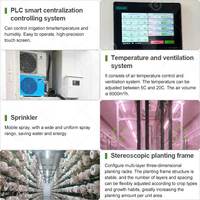 Ferme hydroponique verticale, culture de laitue, de champignons, de safran, conteneur d'expédition aéroponique avec électricité solaire