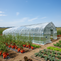 Tunnelkas voor groente- en fruitteelt |   Geïntegreerde dienstverlening van ontwerp, productie en installatie