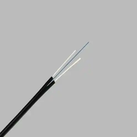 FTTH Modo único 1 2 4 Núcleo Cable de caída de fibra óptica Cables de comunicación de soporte automático de tipos GJXH/GJXFH