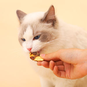 도매 건강한 영양 개 사료 고원유 단백질 개 치료 애완 동물 간식 바나나 칩 오리 개 간식으로 꼬여 - Product Image 3