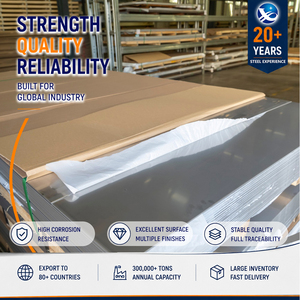 317L Bead Blasted 10mm x 2000mm 4'x10' Precision Stainless Steel Sheet with Superior Surface Quality - Product Image 1