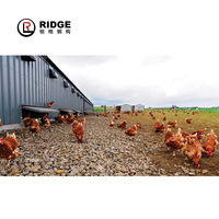 Poulailler pour poulets de chair, structure en acier, usine de structures en acier, poulailler, ferme avicole, liste de fermes avicoles, 45 jours