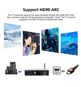 Amplifier Audio Rumah Mini USB RCA H-DMI ARC LAN Input Serat Optik Biru Stereo HiFi 5.0 Gigi