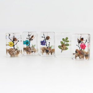 Reçine bahçe sahne kuru çiçek paperweight dekorasyon zanaat fabrika çin'den böcek örneği - Product Image 1