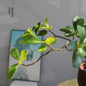 Plante Artificielle Haut de Gamme <span class=keywords><strong>en</strong></span> Plastique, Style Zen Chinois, pour Salon de Thé, Bureau, Décoration d'Îlot de Table - Product Image 3