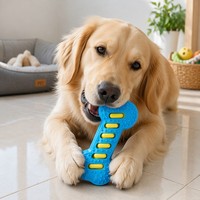 Jouet à mâcher pour chien en TPR, os couineur texturé, jouet interactif pour animaux de compagnie, pour la dentition, pour jouer à l'intérieur et à l'extérieur