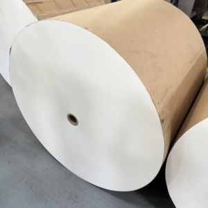 Rollo de papel recubierto de PE, pulpa virgen, impermeable y resistente a la grasa, para la producción de vasos de papel desechables - Product Image 6