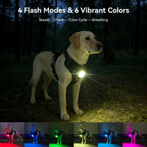 OKKPETS カスタムロゴ ライトアップ ドッグハーネス フロントチェスト LEDライト付き ノープル ドッグハーネス 多機能ボトムキャビティ付き - Product Image 2