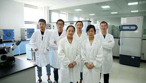 Mouse Procalcitonin,PCT ELISA Kit - Product Image 2