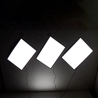 Suministro directo de fábrica de alto brillo A0 A1 A2 A3 A4 A5 Tamaño Led EL Productos Panel de retroiluminación Hoja luminiscente eléctrica