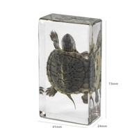 Presse-papiers Lucite acrylique de haute qualité avec taxidermie de vraie tortue artisanat en résine écologique pour aquariums souvenirs