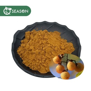 Cung cấp nhà máy soapberry chiết xuất 10% 80% <span class=keywords><strong>soapnut</strong></span> chiết xuất <span class=keywords><strong>soapnut</strong></span> saponin - Product Image 2