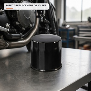 Filtre à huile de moto de haute qualité HF138, remplacement pour les moteurs <span class=keywords><strong>Suzuki</strong></span> GSX R V Strom Boulevard et les unités de moteur ATV - Product Image 2