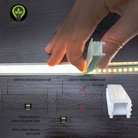 Couverture de diffuseur en Silicone néon pour bande LED 10mm et 8mm connectivité USB et NFC corps en cuivre commande vocale pour bricolage conception d'enseigne au néon