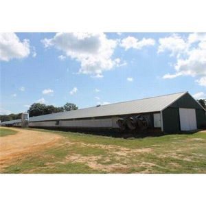 Singola larghezza strato di uovo allevamento di pollame fattoria fienile prefabbricato casa di gallina per 10000 polli - Product Image 3