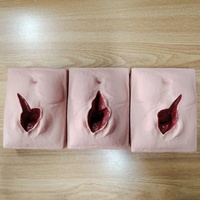 Modelo de entrenamiento de Ciencias Médicas DARHMMY para la práctica de sutura vulvar de obstetricia y ginecología