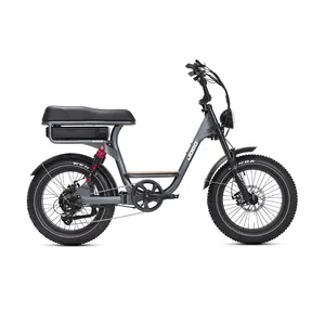 20*4.0inch Fat Tire 48V 15.6AH Lithium Battery Ebike Mountain Hybrid Electric Bike
