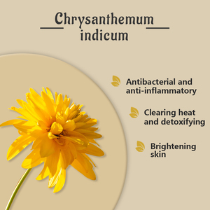 น้ำมันหอมระเหยดอกเบญจมาศบริสุทธิ์สำหรับเครื่องกระจายกลิ่น - น้ำมันอโรมาเธอราพีสกัดจากพืชธรรมชาติบริสุทธิ์ 100% |   ขายส่ง 10 มล. - Product Image 6