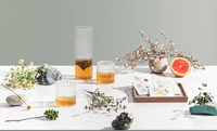 Remedium-té de hierbas orgánicas n.3, 10 bolsas, selección GVERDI, hecho en Italia, comida italiana