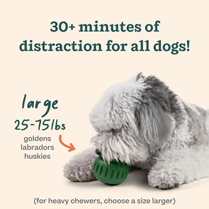 Jouet à mâcher en caoutchouc naturel pour grands chiens, résistant, distributeur de friandises, nettoyage des dents, massage des gencives, balle distributrice de nourriture pour chien - Product Image 3