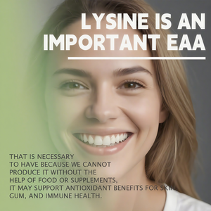 Venta caliente línea de producción 98 Poly L lisina metionina vitamina humana grado alimenticio glicinato suplementos L-lisina gomitas para hombres - Product Image 3