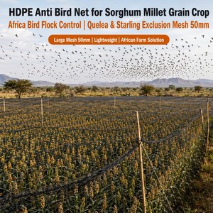 Filet anti-<span class=keywords><strong>oiseaux</strong></span> en HDPE de qualité alimentaire pour tunnel à fraises en champ ouvert, maille fine 10mm-20mm - Product Image 2