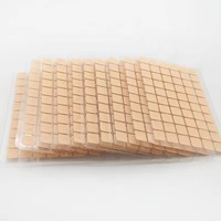 600 Pièces de Graines Magnétiques Auriculaires pour Acupuncture, Patchs de Thérapie des Points Auriculaires, Graines d'Oreille pour Soins de Santé et Traitement Esthétique