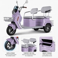 Tricycle Électrique Rétro Direct Usine OEM, Double Siège, Panier Avant, Moteur Arrière 1000W, Éclairage LED, Porte-Bagages, Vente en Gros Personnalisée