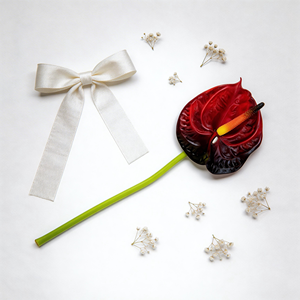 <span class=keywords><strong>Fleur</strong></span> artificielle Anthurium rouge en gel souple A8 Real Touch pour les centres <span class=keywords><strong>de</strong></span> table <span class=keywords><strong>de</strong></span> mariage et les arrangements floraux <span class=keywords><strong>de</strong></span> décoration intérieure - Product Image 5