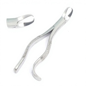 Premium Manual Root Extracting Forceps #16 Lower Molar Universal <b>Cow</b> Horn German Stainless Steel High Quality Dental Extraction - Product Image 1