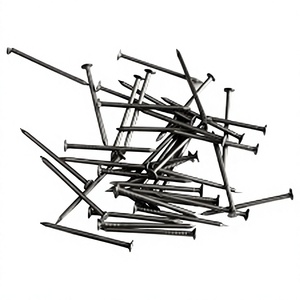 Factory Price Steel Smooth <b>Brad</b> Cap Head Zinc Plated Diamond Point Class 4.8 6.8 Gauge 2 Nails 3 Inch 5 Inch 1kg/Box 25kg/Carton - Product Image 1