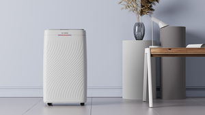 Déshumidificateur à compresseur 20L avec filtre à air lavable et purificateur d'air, fabriqué en Chine - Product Image 3