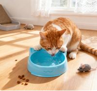 Vente en gros de fournitures pour animaux de compagnie des fabricants Mangeoires pour chats et animaux mignons Assiettes pour petits chiens et chats