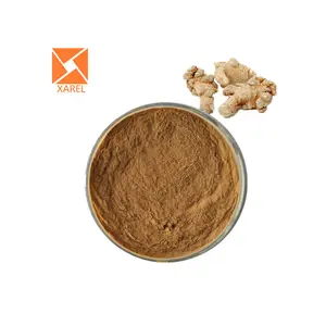 ハーブsanqi radix san qi notoginsenoside r1 panax notoginseng pseudo-ginseng root extract saponins powder