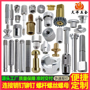 Tianyang Hardware Connecting Pins Rivets Steps Male Female Screws Sensor Probes Double Threaded Nuts High Precision Machined - Product Image 4