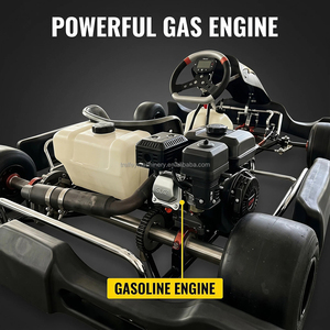 Gasolina Professional Racing Track Go Kart 200-225cc 9.5HP Competition Karting Pedal Powerful Hydraulic Brake CE Approved - Product Image 3