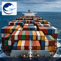 Logistik Kargo Laut yang Terpercaya Dari Qingdao ke India FCL Pengiriman Laut DDP DDU Layanan Bea Cukai