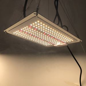 Luz <span class=keywords><strong>led</strong></span> para <span class=keywords><strong>cultivo</strong></span> hidropónico, alta ppfd, 200W, 400W, 720W, 640W - Product Image 5