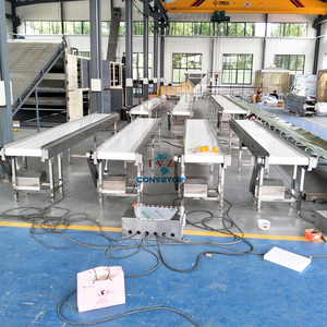 Food Grade <strong>Belt</strong> <strong>Conveyor</strong> Fruits <strong>Conveyor</strong> - Product Image 3