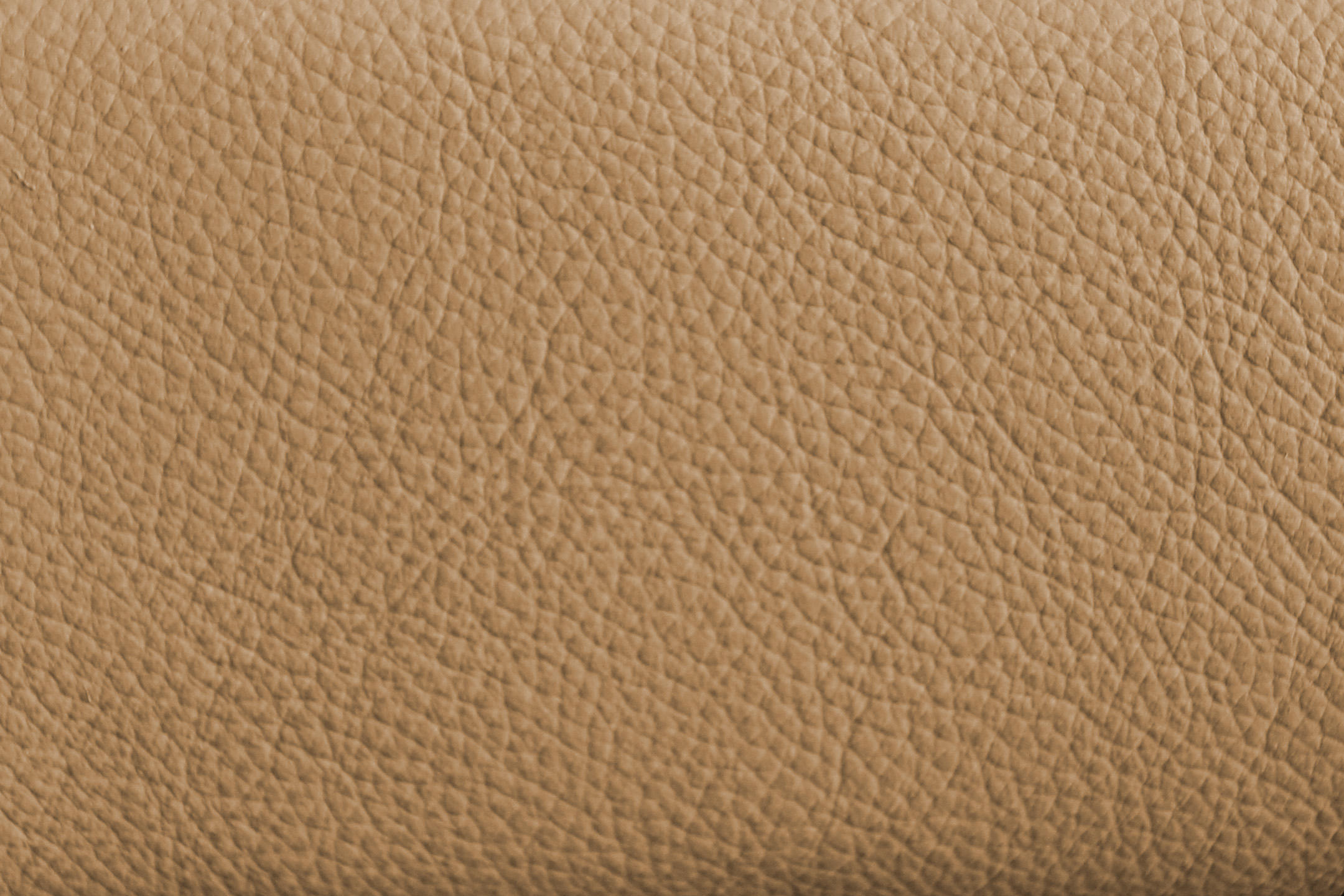 คาปูชิโน่