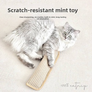Coussins à gratter en sisal pour chats, oreillers décoratifs, jouets à mâcher pour animaux, jouets interactifs à la catnip pour chats d'intérieur - Product Image 3