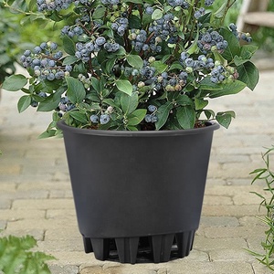 Petits pots de pépinière en plastique de 25L/30L pour la culture des <span class=keywords><strong>myrtilles</strong></span> - Pots robustes pour la culture en ferme et en serre - Product Image 1